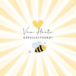 Jubileum aanpasbaar 12,5 jaar bij elkaar illustratie bijen 2