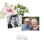 Jubileum bloemen cosmea sering aanpasbaar 2