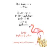 Jubileum flamingostel 3