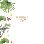 Jubileum tropical 2