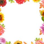 Jubileumkaart herfstbloemen Achterkant