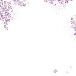 Jubileumkaart paarse seringen Achterkant