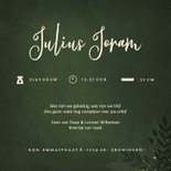 Jungle geboortekaartje jongen met gouden silhouet olifant 3