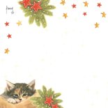 Kattenkerstkaart Have a Cozy Christmas 2