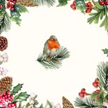 Kerst roodborstjes op takjes Achterkant