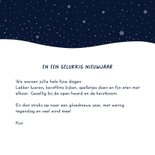 Kerst - Vogel familie 3