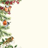 Kerst vogels takjes 2