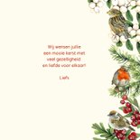 Kerst vogels takjes 3