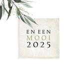 Kerstkaart 2024-2025 met sterretjes en takjes 3