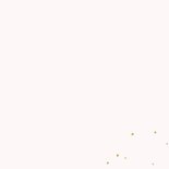 Kerstkaart auto wit met kerstboom Achterkant