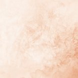 Kerstkaart blush met kerstbomen Merry Christmas Achterkant