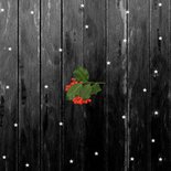 Kerstkaart foto op hout 2027 Achterkant