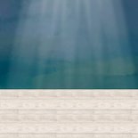 Kerstkaart het dames kerstkoor met dirigent Achterkant