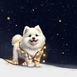 Kerstkaart hond Samojeed puppy winter lampjes feestdagen 2