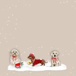 Kerstkaart hondjes kerst 2