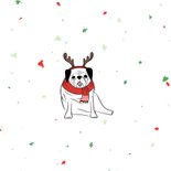 Kerstkaart humor puggy christmas met confetti 2