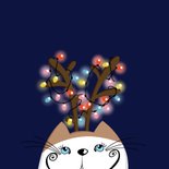 Kerstkaart - Kat met kerstlichtjes 2