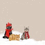 Kerstkaart katten in de sneeuw 2