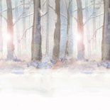 Kerstkaart kerstboom op de solex Achterkant