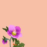 Kerstkaart kerstkrans kerstroos fijne kerst 2