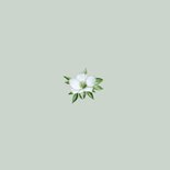 Kerstkaart kerstkrans met groene strik Achterkant