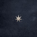 Kerstkaart kerststerren foto fijne feestdagen glitter Achterkant