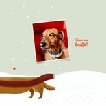 Kerstkaart liefde teckel sjaal sneeuw oorwarmers 2