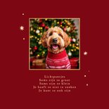 Kerstkaart met grote foto van je huisdier en gouden sterren 2