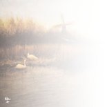 Kerstkaart met Hollands landschap en zwanen 2