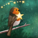 Kerstkaart met roodborstje op tak met ster lichtje 2