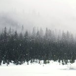 Kerstkaart met winters landschap bomen en sneeuw Achterkant