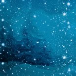 Kerstkaart onder de sterren hert Achterkant