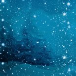 Kerstkaart onder de sterren hert Achterkant
