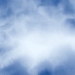 Kerstkaart papegaaiduiker met kerstmuts in de sneeuw Achterkant