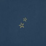 Kerstkaart pinguïn illustratie winter goud sterren Achterkant