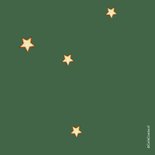 Kerstkaart Rendier met sjaal en vogel 2