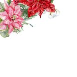 Kerstkaart rode en roze kerstbloemen kerstster 2