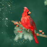 Kerstkaart rode kardinaal 2