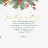 Kerstkaart rode kardinaal 3