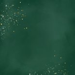 Kerstkaart rode kardinaal Achterkant