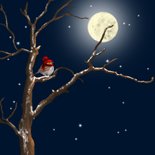 Kerstkaart roodborst rode muts en maan 2