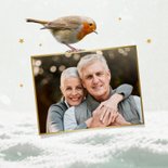 Kerstkaart roodborstje foto fijne feestdagen sneeuw  2