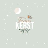 Kerstkaart roodborstje in de winter 2