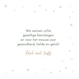 Kerstkaart roodborstje in de winter 3