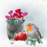 Kerstkaart roodborstje met pot cyclamen in de sneeuw 2