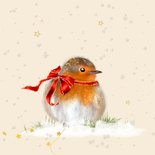 Kerstkaart roodborstje met strik 2
