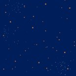 Kerstkaart roodborstje op donkerblauw met glitter Achterkant