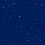 Kerstkaart roodborstje op donkerblauw met glitter Achterkant