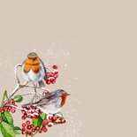 Kerstkaart roodborstjes in de winter op takjes 2