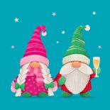 Kerstkaart roze gnoom hip grappig sterretjes merry christmas 2